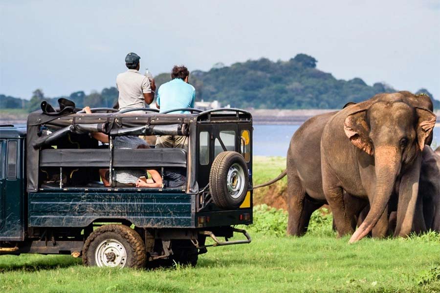 14-Day Grand Sri Lanka Experience